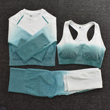 Seamless Fitness Set
