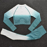 Seamless Fitness Set