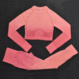 Seamless Fitness Set