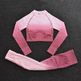 Seamless Fitness Set