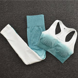 Seamless Fitness Set