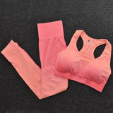 Seamless Fitness Set