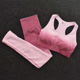 Seamless Fitness Set