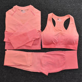 Seamless Fitness Set