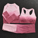 Seamless Fitness Set